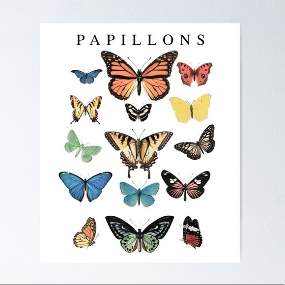 Butterfly Shirt - Picture 1 of 1